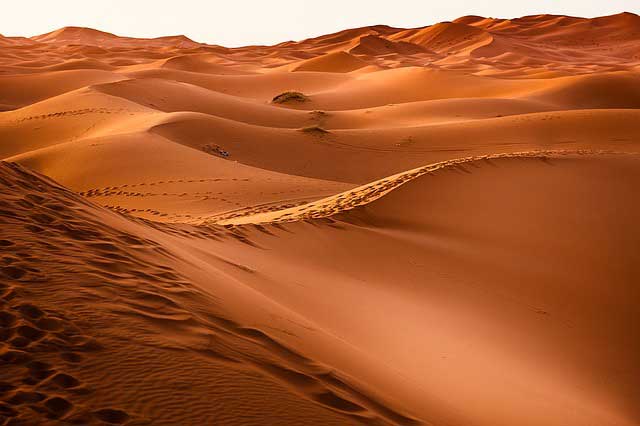 Israelites desert road