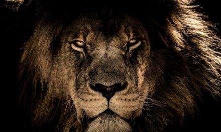 Finally…a King with Courage to Believe God – 2 Kings 18