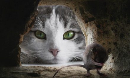When the Cat is Away, the Mice Will Play – Neh 13