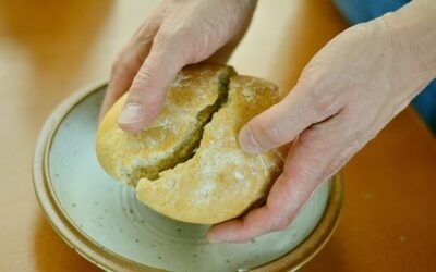 Remain in His Love – John 15:9-17