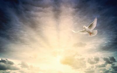 Who is the Helper of John 14:16?