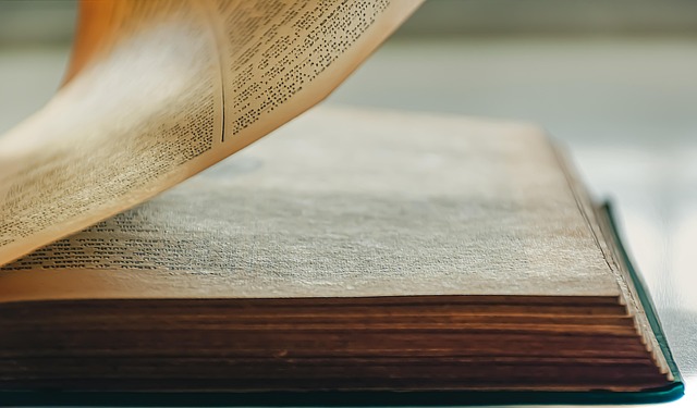 Romans 10 in context