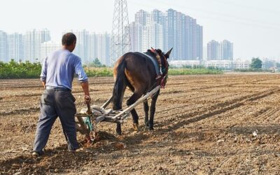 The Worker Deserves His Wages, but Paul is Free – 1 Cor 9:8-18