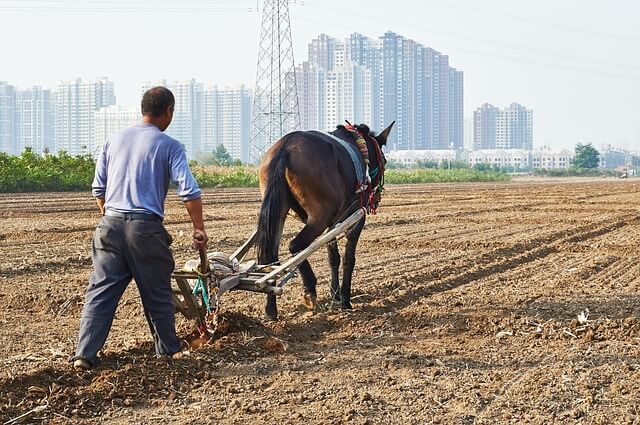 worker deserves his wages - 1 Cor 9
