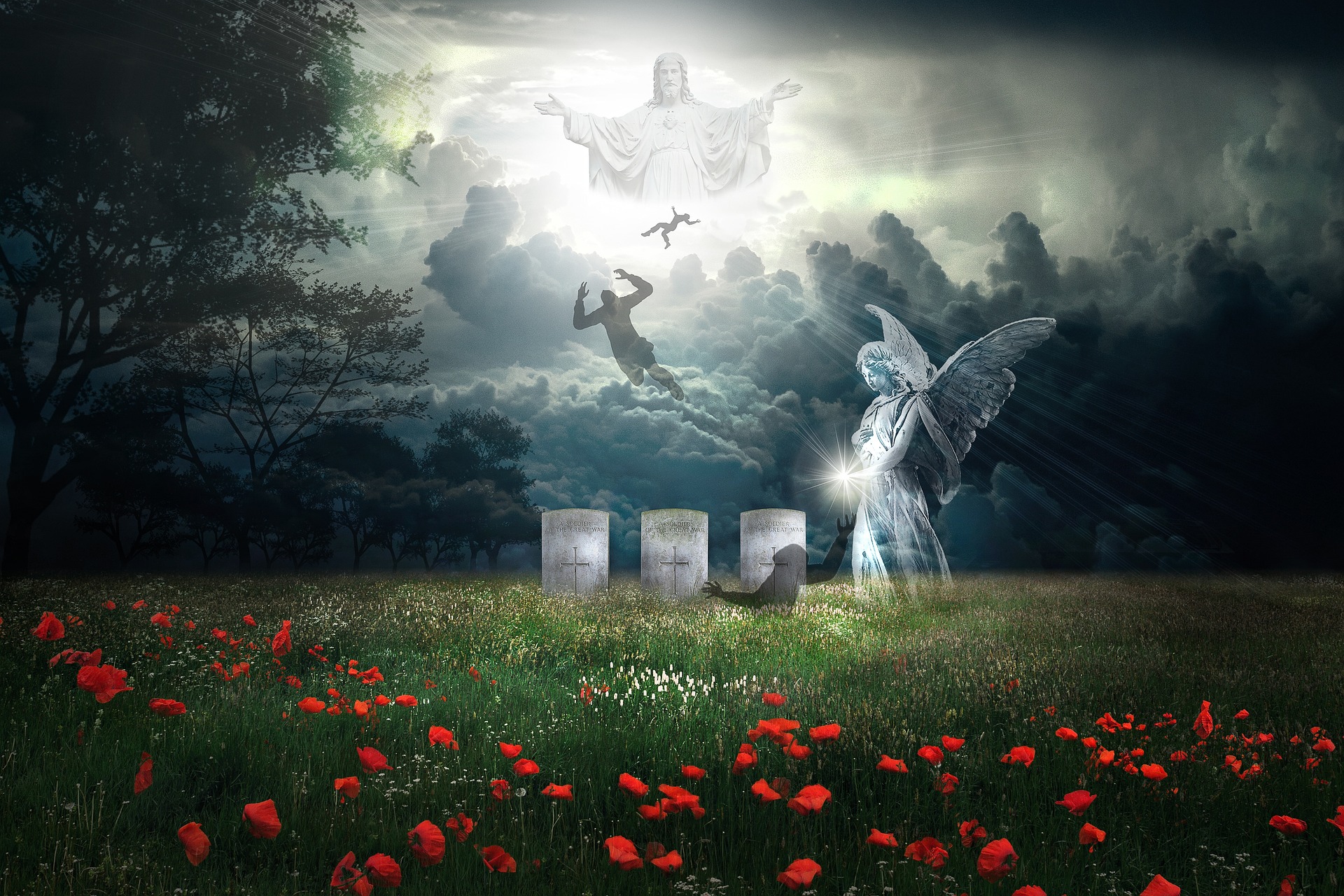Raised to Live – Heaven Raised to Live - Heaven