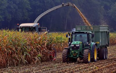 Expectancy of the Harvest – Mt 9:37