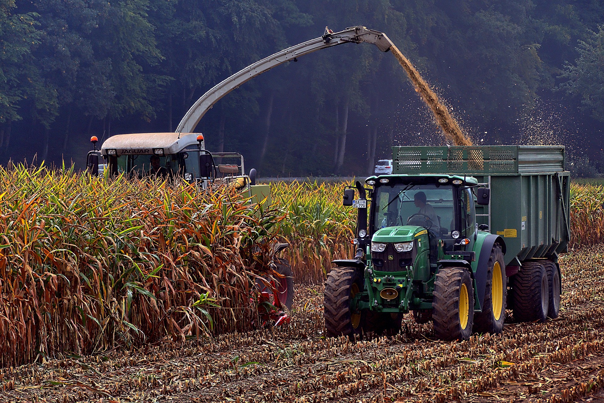 Praying for the Harvest – Matthew 9:37 Praying for the Harvest - Matthew 9:37