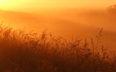 We Commend Ourselves to Every Man’s Conscience – 2 Cor 4:2-6