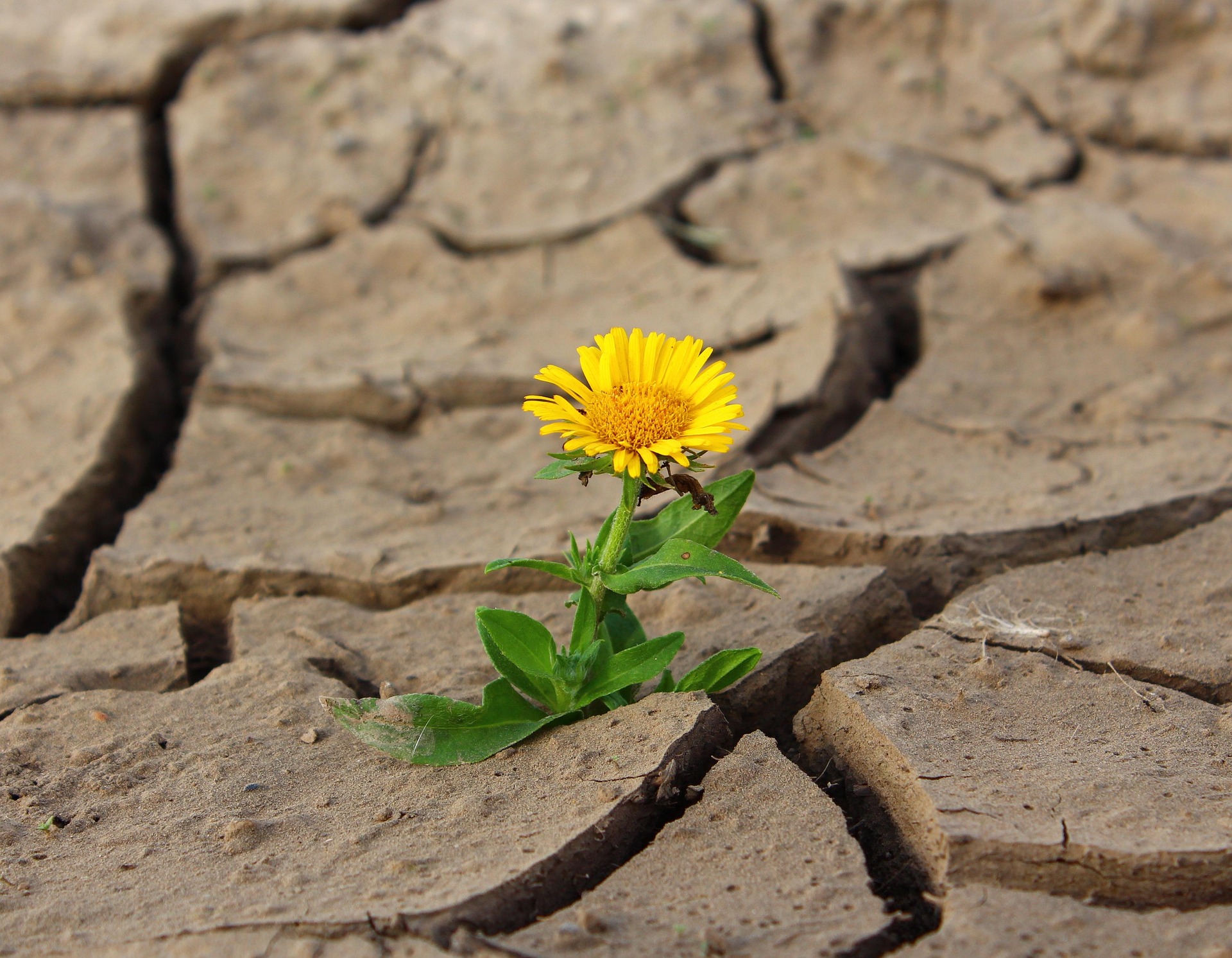hope comes from faith